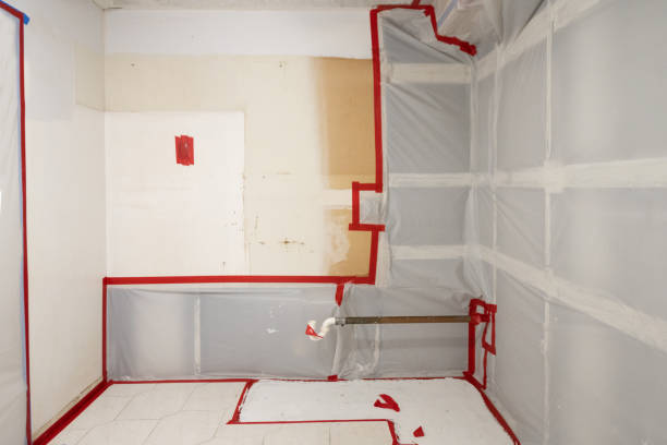 Mold Documentation for Insurance Claims in Floydada, TX