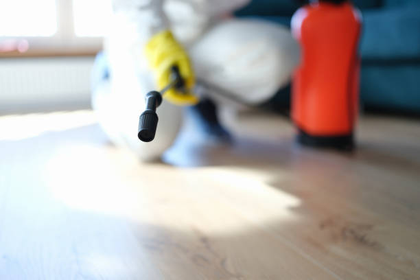 Biohazard Mold Removal in Floydada, TX